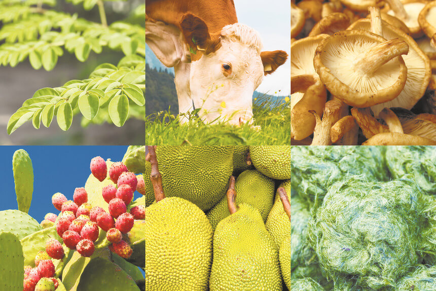 Food trends