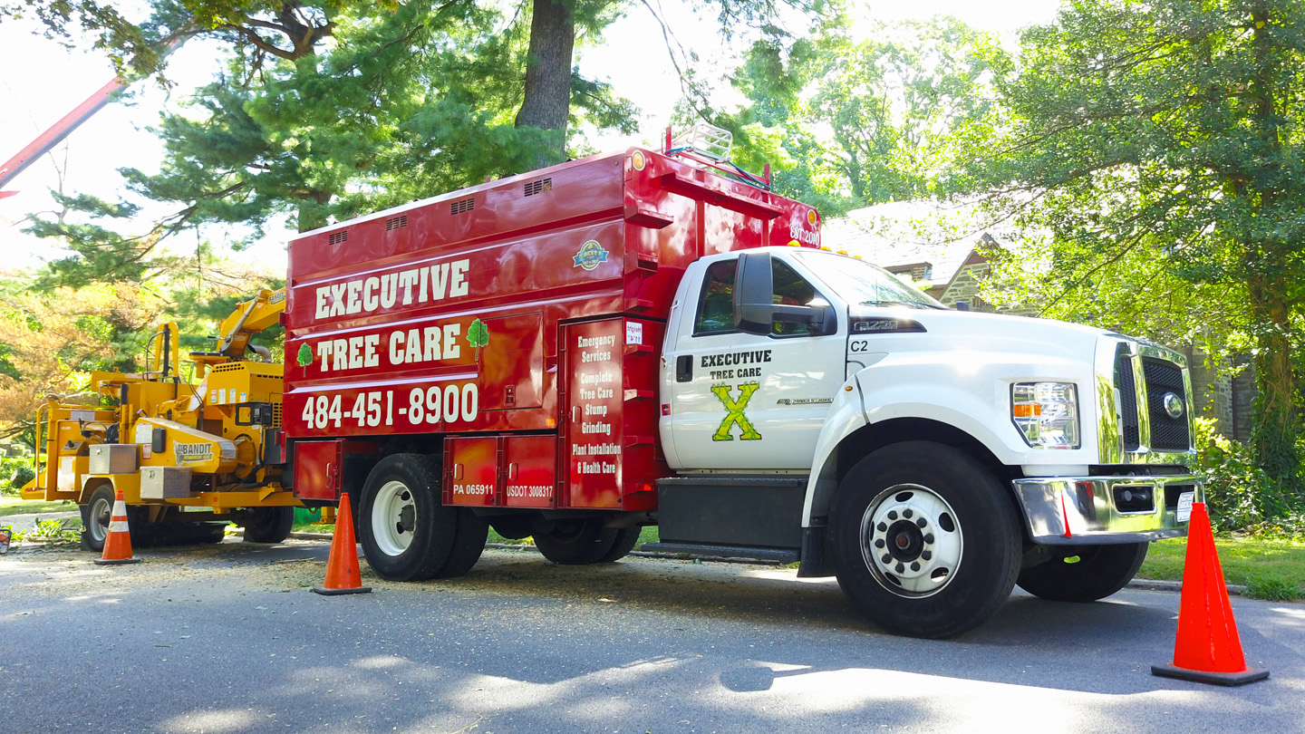 Executive Tree Care truck and chipper